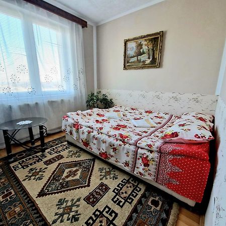 Sabina Apartment Sighişoara Exterior foto