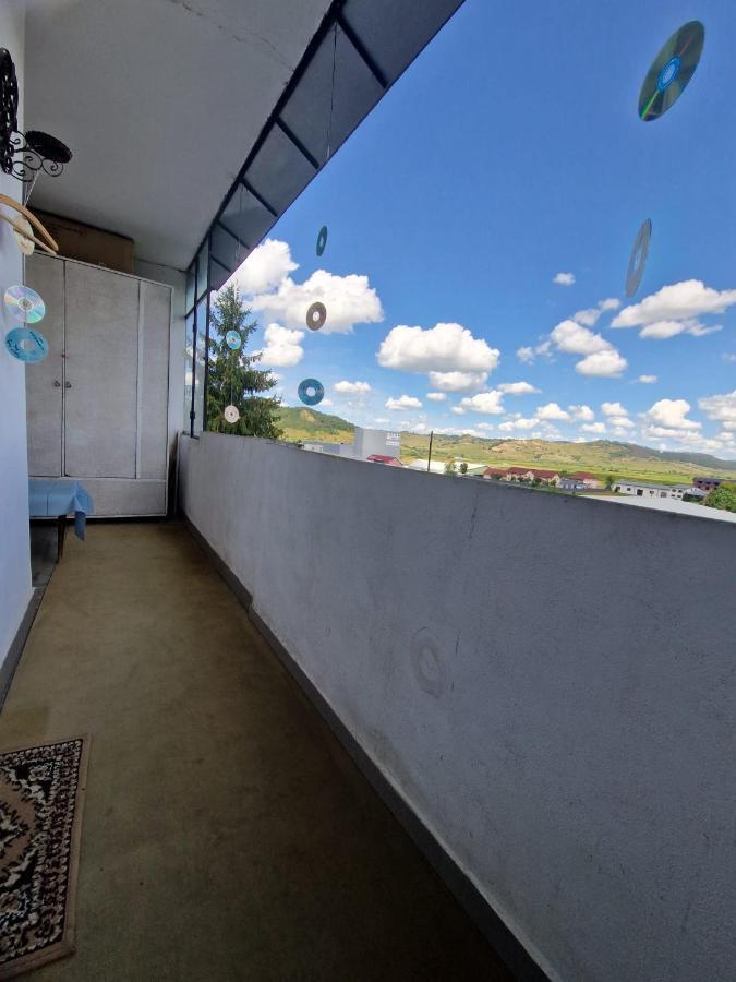 Sabina Apartment Sighişoara Exterior foto